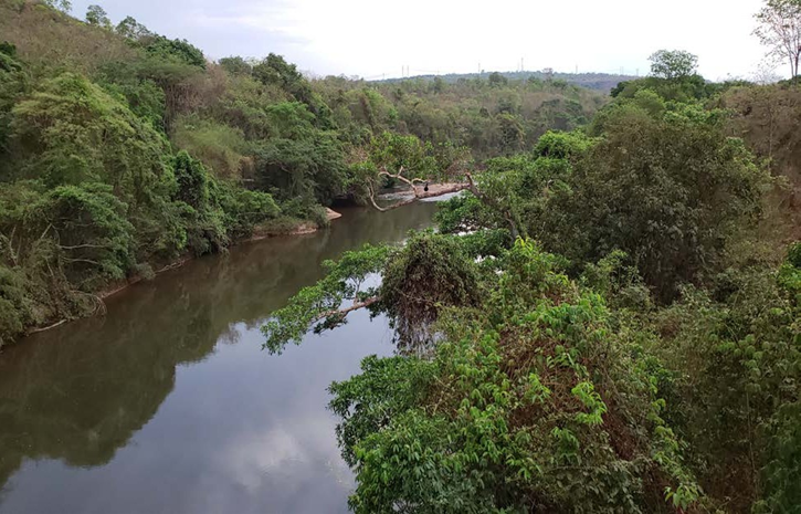 rio das garcas mt